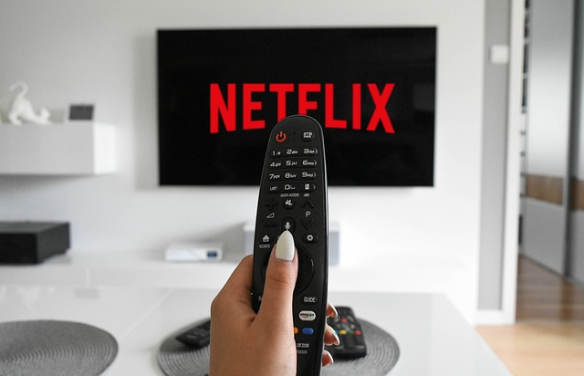 Quelles technologies pour profiter des programmes Netflix ?